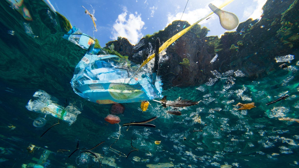 Die Verschmutzung durch Mikroplastik und wie sie unsere Ozeane bedroht